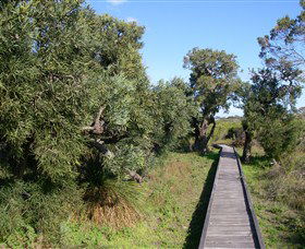 Kepwari Trails Wetland Wonderland - Tourism Search 0