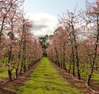 Raeburn Orchards - Tourism Search