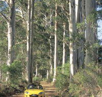 Mount Shadforth Scenic Drive - Tourism Search
