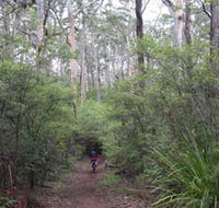Margaret River Rails Trail - Tourism Search