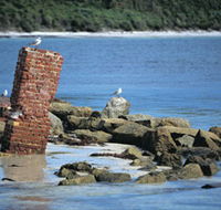 Whalers Beach - Tourism Search