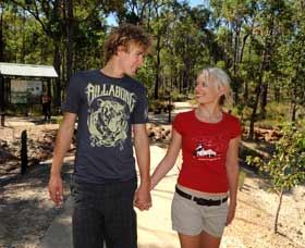 Crooked Brook Forest - Tourism Search 0