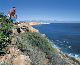 Dampier Salt Mines - Tourism Search 0