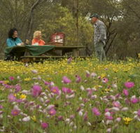 Gwambygine Park - Tourism Search