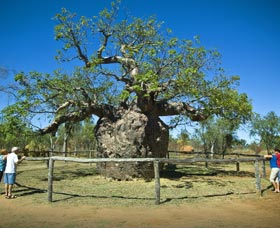 Pigeon Heritage Trail - Tourism Search 0
