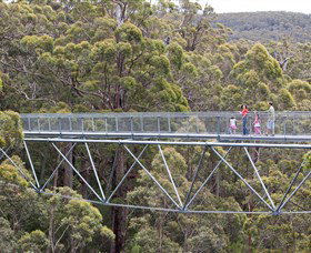 Walpole Wilderness Discovery Centre - Tourism Search 0