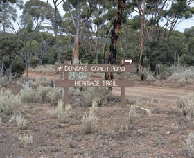 Norseman WA Tourism Search