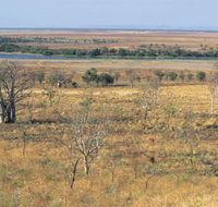 Telegraph Hill - Tourism Search
