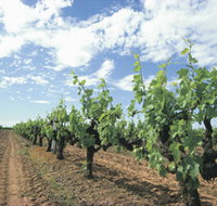 Blackwood Meadery - Tourism Search