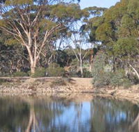 Merredin Railway Dam - Tourism Search