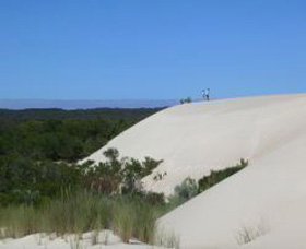 Yeagerup Sand Dunes - Tourism Search 0