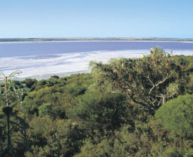 Pink Lake - Tourism Search 0