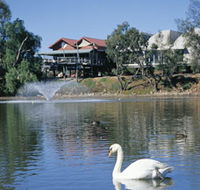 White Swans - Tourism Search