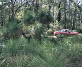 Bridgetown Jarrah Park - Tourism Search 0