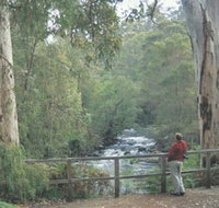 Cascades - Tourism Search