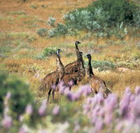 Jurabi Coastal Reserve - Tourism Search