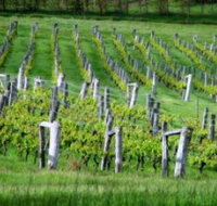 Sienna Estate Winery - Tourism Search