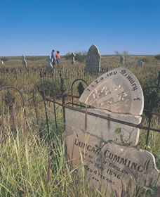 Talandji WA Tourism Search