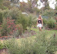 The Mythic Mazes - Tourism Search