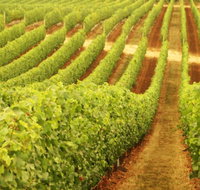 Xanadu Wines - Tourism Search