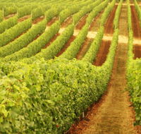 Darlington Estate Winery and Restaurant - Tourism Search