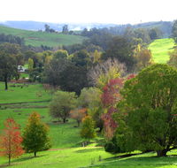 Golden Valley Tree Park - Tourism Search
