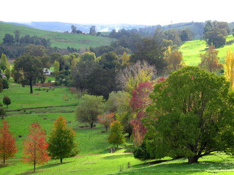 Golden Valley Tree Park - Tourism Search 0