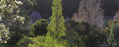 Golden Valley Tree Park - Tourism Search 3