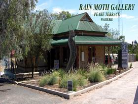 Rain Moth Gallery - Tourism Search 0