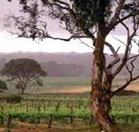 Yangarra Estate Vineyard - Tourism Search