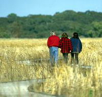 Onkaparinga River Recreation Park - Tourism Search