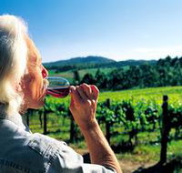 Ashton Hills Vineyard - Tourism Search