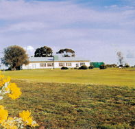 Lucindale Country Club - Tourism Search