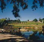 Mount Hurtle Winery home of Geoff Merrill Wines - Tourism Search