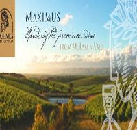 Maximus Wines Australia - Tourism Search