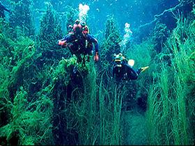 Port Macdonnell SA Tourism Search