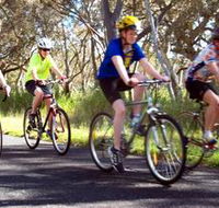 Penola Cycling Trails - Tourism Search