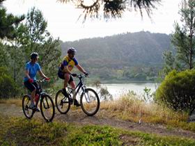 Mount Gambier Crater Lakes Mountain Bike Trail - Tourism Search 0