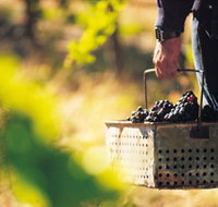 Burge Family Winemakers - Tourism Search