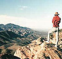 Devil's Peak Walking Trail - Tourism Search