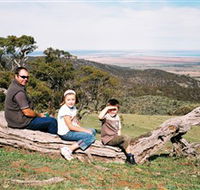 Bridle Track - Tourism Search