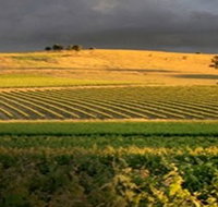 Kellermeister Wines - Tourism Search