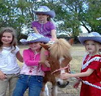Amberainbow Pony Rides - Tourism Search