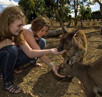 Kangaroo Island Wildlife Park - Tourism Search