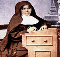 Mary MacKillop Penola Centre - Tourism Search