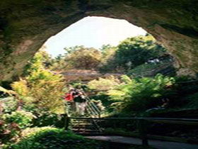 Engelbrecht Cave - Tourism Search 0
