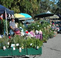 Meadows Monthly Market - Tourism Search