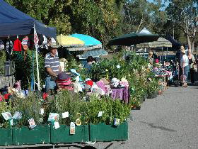 Meadows Monthly Market - Tourism Search 0