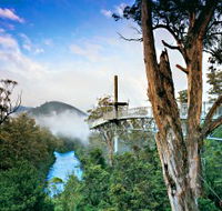 Tahune Adventures Tasmania - Tourism Search