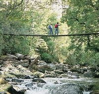 Arve Forest Drive - Tourism Search